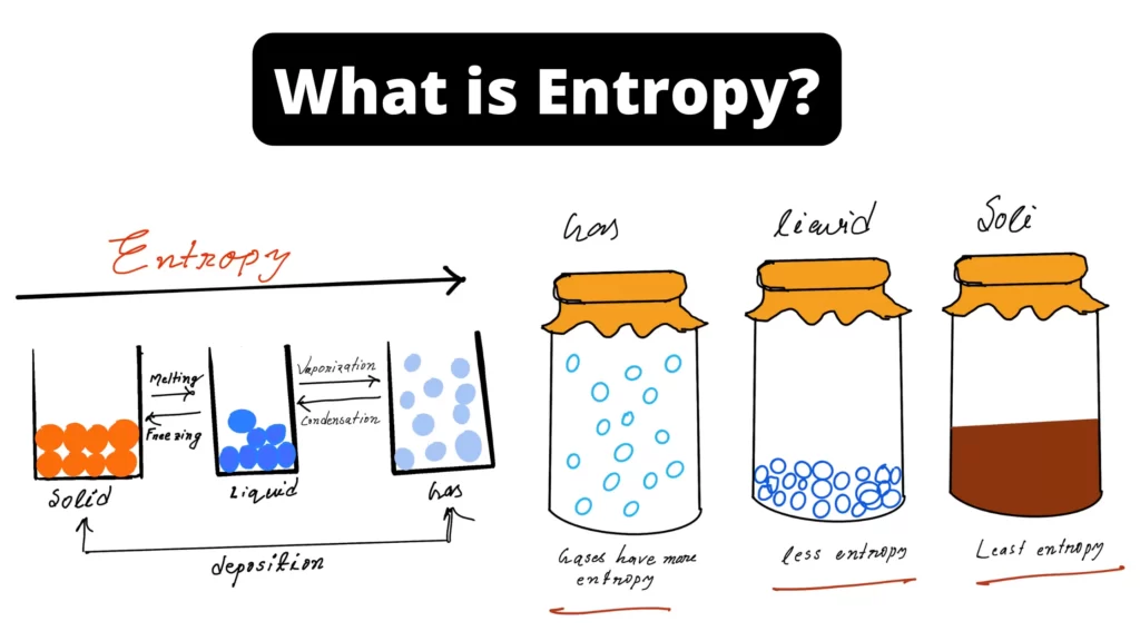 Which Statement Best Describes The Change in Entropy During The Synthesis of A Polymer?