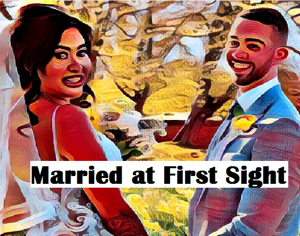 Married at First Sight Novel